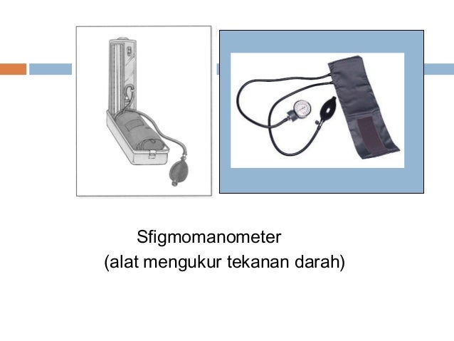 26930434 sistem-kardiovaskular-tingkatan-5