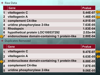  Duplicates Removed
 Raw Data
Gene Pvalue
1 vitellogenin C 5.44E-07
2 vitellogenin A 1.46E-05
3 complement C4-like 4.81E-05
4 uridine phosphorylase 2-like 7.63E-05
5 Rhodopsin 1.83E-04
6 hypothetical protein LOC100537292 2.02e-04
7 endonuclease domain-containing 1 protein-like 2.80E-04
Gene Pvalue
1 vitellogenin C 9.47E-07
2 vitellogenin A 6.63E-05
3 endonuclease domain-containing 1 protein-like 6.88E-05
4 complement C4-like 7.87E-05
5 uridine phosphorylase 2-like 9.06E-05
 