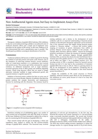 New Antibacterial Agents must, but Easy-to-Implement Assays First
Boobalan Pachaiyappan*
Department of Chemistry, Northwestern University, 2145 Sheridan Road, Evanston, IL 60208-3113, USA
*Corresponding author: Boobalan Pachaiyappan, Department of Chemistry, Northwestern University, 2145 Sheridan Road, Evanston, IL 60208-3113, United States,
Tel: +1 847-491-3741; E-mail: boobalanp@gmail.com
Rec date: June 17, 2015; Acc Date: June 19, 2015; Pub date: June 22, 2015
Copyright: © 2015 Pachaiyappan B. This is an open-access article distributed under the terms of the Creative Commons Attribution License, which permits unrestricted
use, distribution, and reproduction in any medium, provided the original author and source are credited.
Abstract
Therapeutic validation of peptidyl-tRNA hydrolase (Pth) inhibition
to discover novel antibacterial drug scaffolds is encumbered by lack of
medicinal chemistry efforts and a simple easy-to-implement assay
procedure for the analysis of Pth activity. In this issue, Holloway et al.
have demonstrated that such a quantification assay is possible. This
should speed-up inhibitor screening for identification of novel hits.
Commentary
Traditional antibiotics kill bacteria or inhibit its growth by blocking
the synthesis of cell wall, proteins and nucleic acids. However, due to
the emergence of multi-drug resistant bacteria, current antibiotics
either as a stand-alone treatment, or in combination, have received
only partial success. This scenario gets further attenuated by acquired
resistance via additional mechanisms such as target mutations,
increased expression levels of efflux pumps and antibiotic-degrading
enzymes. Clearly drug discovery efforts that are aimed to design
alternative molecular scaffolds to target antibacterial growth and
acquired resistance is urgently required [1].
Inhibition of bacterial protein synthesis has been an active area of
research for over several decades. Majority of antibiotics that block the
protein synthesis (for example doxycycline and streptomycin)
function by interfering with the ribosomes. The resistance faced by
existing antibiotics and a decline in the development of novel
antibiotics calls for an improved understanding of bacterial protein
synthesis so that alternative therapeutic approaches can be envisioned.
One of the untoward events that happen during bacterial protein
synthesis is "ribosome stalling" - a process that involves sudden
stopping of translation of genetic information from mRNA to
proteins. Whereas several reasons contribute to this anomaly - for
example, tRNA starvation, defective mRNA - bacteria has developed
protective mechanisms to release the retention of immature peptidyl
tRNA. One such mechanism happens through peptidyl-tRNA
hydrolase (Pth), an esterase that cleaves the ester bond between the C-
terminal end of the peptide and the 2'- or 3'- hydroxyl of the ribose
end of tRNA (see Figure 1 for a simplified reaction) [2,3]. The
recycling activity of Pth is considered critical for bacterial survival
because any lack of it may lead to the accumulation of immature
peptidyl tRNA that is toxic to cells [4]. There is a growing interest in
Pth for the development of novel antibiotics considering that its
inhibition may either impair the translation or slow down bacterial
protein biosynthesis [5].
Despite the availability of Pth crystal structures in Protein
Databank, medicinal-chemistry based efforts for the development of
Pth inhibitions are scarce, partly because of a lack of an assay that
overcomes current.
Figure 1: A simplified reaction of peptidyl-tRNA hydolyase.
limitations including use of radiolabeling agents, cost, number of
steps involved and incompatibility with other Pth family of enzymes.
In this issue, Holloway et al. have attempted to address this, at least in
part, for monitoring the Pth hydrolysis of peptidyl-tRNA [6].
Their research started with the goal of developing a robust and
expeditious assay method to analyze the Pth enzymes-initiated
cleavage of peptidyl-tRNA substrate. This functional assay involved
application of acid-urea gel electrophoresis. In the first step, the
bacterial Pth enzymes were cloned, expressed in E. Coli and purified
using a previously described procedure. The second step involved
culturing of bacterial substrate (bulk peptidyl-tRNAs) in C600 pth (Ts)
cells and a subsequent resuspension of the pellets in
diethylpyrocarbonate (DEPC) treated double-distilled water (ddH2O).
The third step involved adding necessary ingredients to initiate the
cleavage reaction. In a typical cleavage reaction of 20 μl total volume,
Biochemistry & Analytical
Biochemistry Pachaiyappan, Biochem Anal Biochem 2015, 4:3
http://dx.doi.org/10.4172/2161-1009.1000190
Commentary Open Access
Biochem Anal Biochem
ISSN:2161-1009 Biochem, an open access Journal
Volume 4 • Issue 3 • 1000187
 