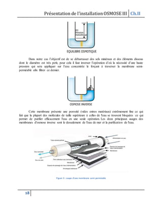 Présentation de l’installationOSMOSE III Ch.II
18
Dans notre cas l’objectif est de se débarrasser des sels minéraux et des éléments dissous
dont le diamètre est très petit, pour cela il faut inverser l’opération d’où la nécessité d’une haute
pression qui sera appliquer sur l’eau concentrée le forçant à traverser la membrane semi-
perméable afin filtrer ce dernier.
Cette membrane présente une porosité (vides entres matériaux) extrêmement fine ce qui
fait que la plupart des molécules de taille supérieure à celles de l'eau se trouvent bloquées ce qui
permet de purifier efficacement l'eau en une seule opération. Les deux principaux usages des
membranes d'osmose inverse sont le dessalement de l'eau de mer et la purification de l'eau.
Figure 3 : coupe d'une membrane semi perméable
 
