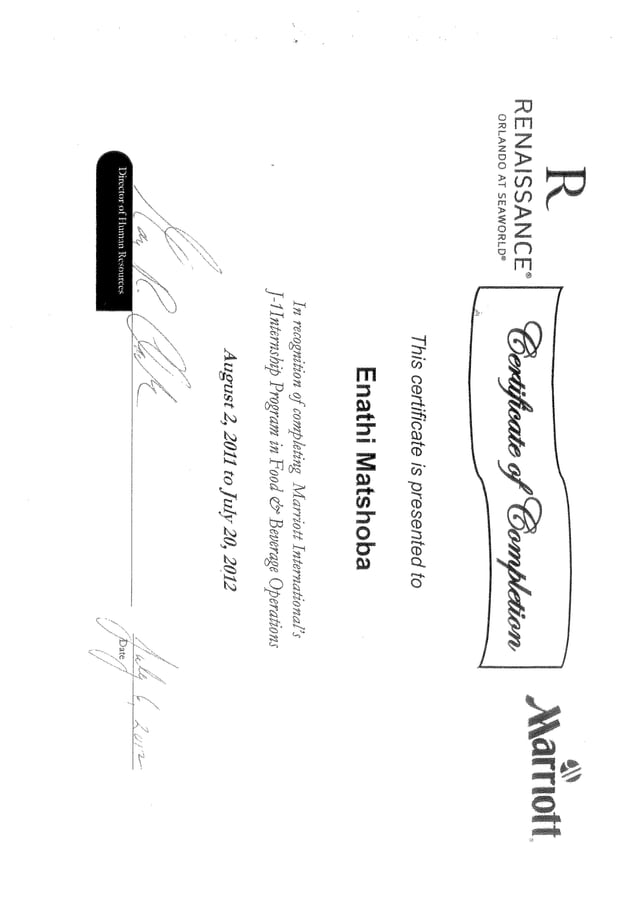 Renaissance certificate | PDF