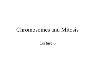 Chromosomes and Mitosis Lecture 6 
