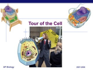 Tour of the Cell




AP Biology                      2007-2008
 