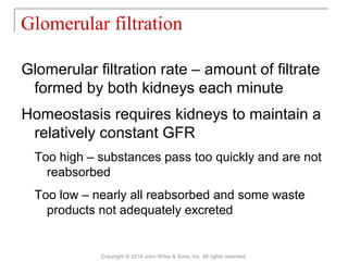 Glomerular filtration rate – amount of filtrate
formed by both kidneys each minute
Homeostasis requires kidneys to maintain a
relatively constant GFR
Too high – substances pass too quickly and are not
reabsorbed
Too low – nearly all reabsorbed and some waste
products not adequately excreted
Glomerular filtration
Copyright © 2014 John Wiley & Sons, Inc. All rights reserved.
 