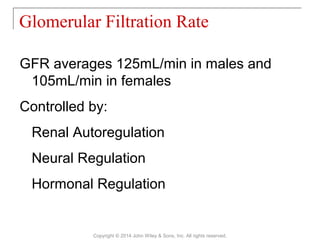 GFR averages 125mL/min in males and
105mL/min in females
Controlled by:
Renal Autoregulation
Neural Regulation
Hormonal Regulation
Glomerular Filtration Rate
Copyright © 2014 John Wiley & Sons, Inc. All rights reserved.
 