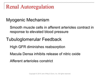 Myogenic Mechanism
Smooth muscle cells in afferent arterioles contract in
response to elevated blood pressure
Tubuloglomerular Feedback
High GFR diminishes reabsorption
Macula Densa inhibits release of nitric oxide
Afferent arterioles constrict
Renal Autoregulation
Copyright © 2014 John Wiley & Sons, Inc. All rights reserved.
 