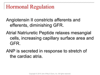 Angiotensin II constricts afferents and
efferents, diminishing GFR.
Atrial Natriuretic Peptide relaxes mesangial
cells, increasing capillary surface area and
GFR.
ANP is secreted in response to stretch of
the cardiac atria.
Hormonal Regulation
Copyright © 2014 John Wiley & Sons, Inc. All rights reserved.
 