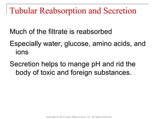 Much of the filtrate is reabsorbed
Especially water, glucose, amino acids, and
ions
Secretion helps to mange pH and rid the
body of toxic and foreign substances.
Tubular Reabsorption and Secretion
Copyright © 2014 John Wiley & Sons, Inc. All rights reserved.
 