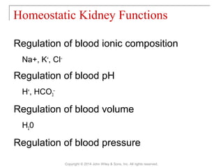 Regulation of blood ionic composition
Na+, K+
, Cl–
Regulation of blood pH
H+
, HCO3
–
Regulation of blood volume
H20
Regulation of blood pressure
Homeostatic Kidney Functions
Copyright © 2014 John Wiley & Sons, Inc. All rights reserved.
 