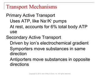 Primary Active Transport
Uses ATP, like Na+
/K+
pumps
At rest, accounts for 6% total body ATP
use
Secondary Active Transport
Driven by ion’s electrochemical gradient
Symporters move substances in same
direction
Antiporters move substances in opposite
directions
Transport Mechanisms
Copyright © 2014 John Wiley & Sons, Inc. All rights reserved.
 