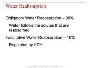 Obligatory Water Reabsorption – 90%
Water follows the solutes that are
reabsorbed
Facultative Water Reabsorption – 10%
Regulated by ADH
Water Reabsorption
Copyright © 2014 John Wiley & Sons, Inc. All rights reserved.
 