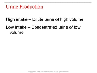 High intake – Dilute urine of high volume
Low intake – Concentrated urine of low
volume
Urine Production
Copyright © 2014 John Wiley & Sons, Inc. All rights reserved.
 