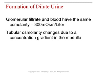 Glomerular filtrate and blood have the same
osmolarity – 300mOsm/Liter
Tubular osmolarity changes due to a
concentration gradient in the medulla
Formation of Dilute Urine
Copyright © 2014 John Wiley & Sons, Inc. All rights reserved.
 