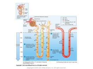Copyright © 2014 John Wiley & Sons, Inc. All rights reserved.
 