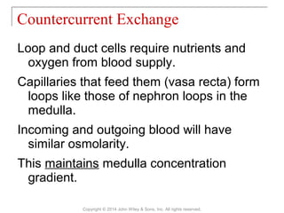 Loop and duct cells require nutrients and
oxygen from blood supply.
Capillaries that feed them (vasa recta) form
loops like those of nephron loops in the
medulla.
Incoming and outgoing blood will have
similar osmolarity.
This maintains medulla concentration
gradient.
Countercurrent Exchange
Copyright © 2014 John Wiley & Sons, Inc. All rights reserved.
 