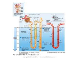 Copyright © 2014 John Wiley & Sons, Inc. All rights reserved.
 