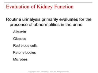Routine urinalysis primarily evaluates for the
presence of abnormalities in the urine:
Albumin
Glucose
Red blood cells
Ketone bodies
Microbes
Evaluation of Kidney Function
Copyright © 2014 John Wiley & Sons, Inc. All rights reserved.
 