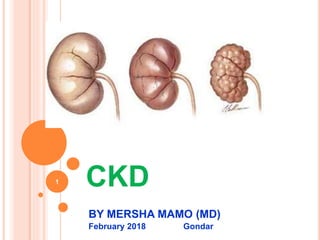 CKD
BY MERSHA MAMO (MD)
February 2018 Gondar
1
 