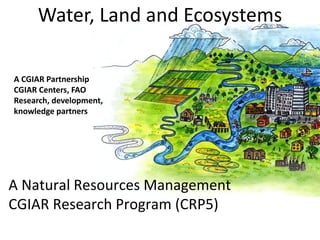 Water, Land and Ecosystems

A CGIAR Partnership
CGIAR Centers, FAO
Research, development,
knowledge partners




A Natural Resources Management
CGIAR Research Program (CRP5)
 