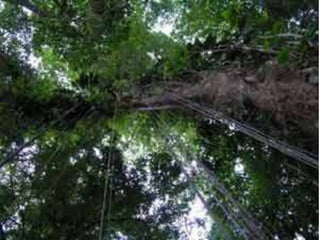 Lic° William Vegazo Muro
                             8
educador230167@gmail.com
 