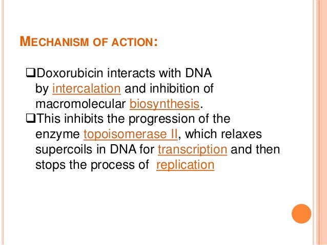 Tdm Of Doxorubicin