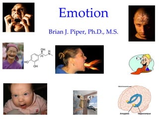 Emotion
Brian J. Piper, Ph.D., M.S.
 