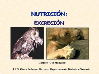 NUTRICIÓN:NUTRICIÓN:
Carmen Cid Manzano
I.E.S. Otero Pedrayo. Ourense. Departamento Bioloxía e Xeoloxía.
EXCRECIÓNEXCRECIÓN
 