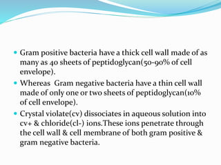  Gram positive bacteria have a thick cell wall made of as
many as 40 sheets of peptidoglycan(50-90% of cell
envelope).
 Whereas Gram negative bacteria have a thin cell wall
made of only one or two sheets of peptidoglycan(10%
of cell envelope).
 Crystal violate(cv) dissociates in aqueous solution into
cv+ & chloride(cl-) ions.These ions penetrate through
the cell wall & cell membrane of both gram positive &
gram negative bacteria.
 