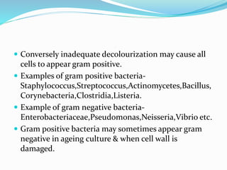  Conversely inadequate decolourization may cause all
cells to appear gram positive.
 Examples of gram positive bacteria-
Staphylococcus,Streptococcus,Actinomycetes,Bacillus,
Corynebacteria,Clostridia,Listeria.
 Example of gram negative bacteria-
Enterobacteriaceae,Pseudomonas,Neisseria,Vibrio etc.
 Gram positive bacteria may sometimes appear gram
negative in ageing culture & when cell wall is
damaged.
 