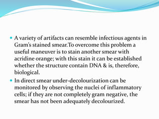  A variety of artifacts can resemble infectious agents in
Gram’s stained smear.To overcome this problem a
useful maneuver is to stain another smear with
acridine orange; with this stain it can be established
whether the structure contain DNA & is, therefore,
biological.
 In direct smear under-decolourization can be
monitored by observing the nuclei of inflammatory
cells; if they are not completely gram negative, the
smear has not been adequately decolourized.
 