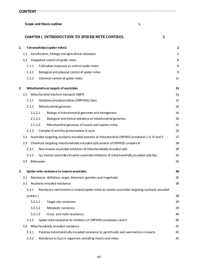 pieter dumon phd thesis