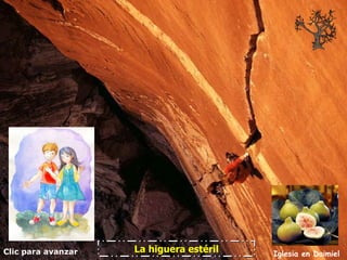 Clic para avanzar Iglesia en Daimiel La higuera estéril 