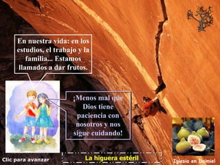 Clic para avanzar Iglesia en Daimiel La higuera estéril En nuestra vida: en los estudios, el trabajo y la familia... Estamos llamados a dar frutos. ¡Menos mal que Dios tiene paciencia con nosotros y nos sigue cuidando! 