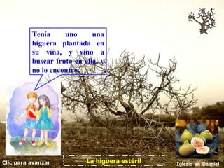 Clic para avanzar Iglesia en Daimiel La higuera estéril Tenía uno una higuera plantada en su viña, y vino a buscar fruto en ella, y no lo encontró.  