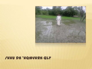 /kku dh ’kq#vkrh Qly
 