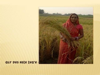 Qly dks ns[k [kq’k gksrk fdlku
 