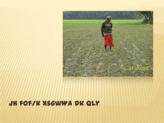 Jh fof/k xsgwWa dk Qly
 