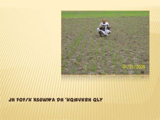 Jh fof/k xsgwWa dh ’kq#vkrh Qly
 