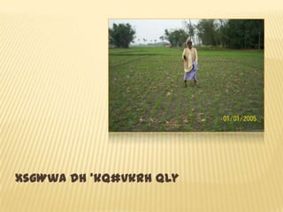 xsgWwa dh ’kq#vkrh Qly
 