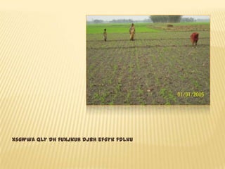 xsgWwa Qly dh fuxjkuh djrh efgyk fdlku
 