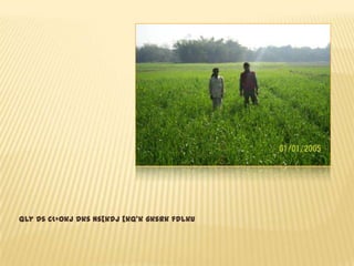 Qly ds c<+okj dks ns[kdj [kq’k gksrk fdlku
 