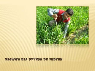 xsgwWa esa dYyksa dk fudyuk
 