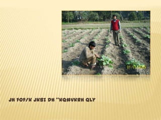 Jh fof/k jkbZ dh ‘’kq#vkrh Qly
 