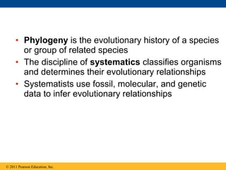 26 lecture phylogeny | PPT