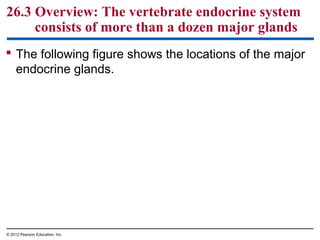  The following figure shows the locations of the major
endocrine glands.
26.3 Overview: The vertebrate endocrine system
consists of more than a dozen major glands
© 2012 Pearson Education, Inc.
 