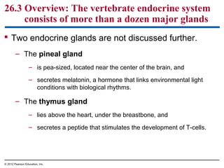  Two endocrine glands are not discussed further.
– The pineal gland
– is pea-sized, located near the center of the brain, and
– secretes melatonin, a hormone that links environmental light
conditions with biological rhythms.
– The thymus gland
– lies above the heart, under the breastbone, and
– secretes a peptide that stimulates the development of T-cells.
26.3 Overview: The vertebrate endocrine system
consists of more than a dozen major glands
© 2012 Pearson Education, Inc.
 