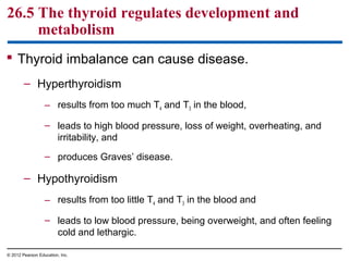 26.5 The thyroid regulates development and
metabolism
 Thyroid imbalance can cause disease.
– Hyperthyroidism
– results from too much T4 and T3 in the blood,
– leads to high blood pressure, loss of weight, overheating, and
irritability, and
– produces Graves’ disease.
– Hypothyroidism
– results from too little T4 and T3 in the blood and
– leads to low blood pressure, being overweight, and often feeling
cold and lethargic.
© 2012 Pearson Education, Inc.
 