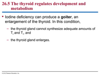 26.5 The thyroid regulates development and
metabolism
 Iodine deficiency can produce a goiter, an
enlargement of the thyroid. In this condition,
– the thyroid gland cannot synthesize adequate amounts of
T4 and T3, and
– the thyroid gland enlarges.
© 2012 Pearson Education, Inc.
 