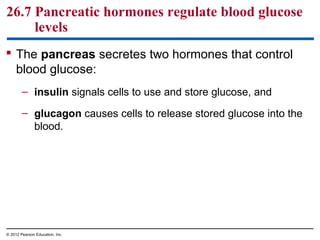 26.7 Pancreatic hormones regulate blood glucose
levels
 The pancreas secretes two hormones that control
blood glucose:
– insulin signals cells to use and store glucose, and
– glucagon causes cells to release stored glucose into the
blood.
© 2012 Pearson Education, Inc.
 