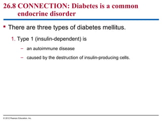 26.8 CONNECTION: Diabetes is a common
endocrine disorder
 There are three types of diabetes mellitus.
1. Type 1 (insulin-dependent) is
– an autoimmune disease
– caused by the destruction of insulin-producing cells.
© 2012 Pearson Education, Inc.
 